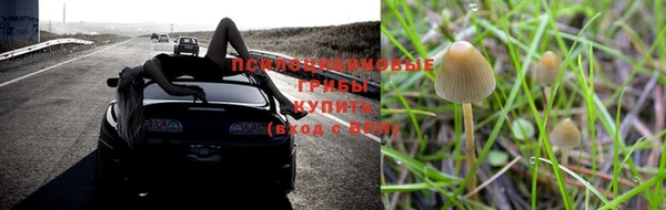 эйфоретик Новодвинск