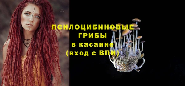 эйфоретик Новокубанск
