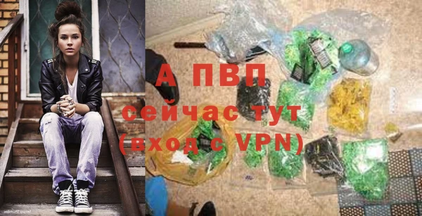 марки lsd Новозыбков