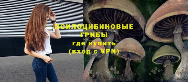 эйфоретик Новокубанск