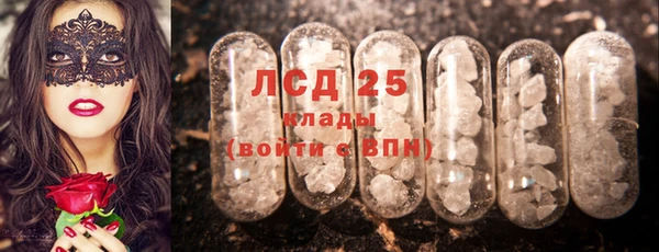 эйфоретик Новодвинск