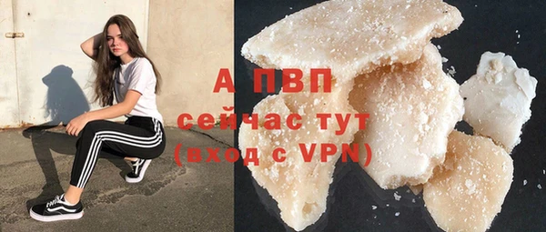 эйфоретик Новокубанск