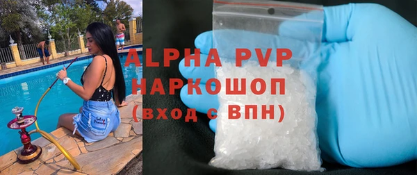 марки lsd Новозыбков
