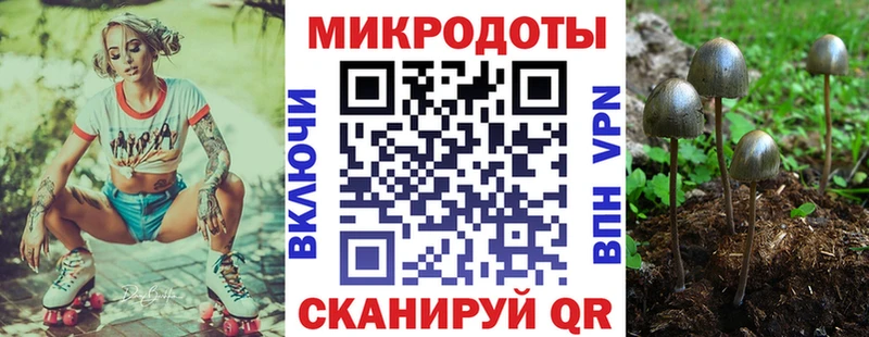 Псилоцибиновые грибы мицелий  Аксай 