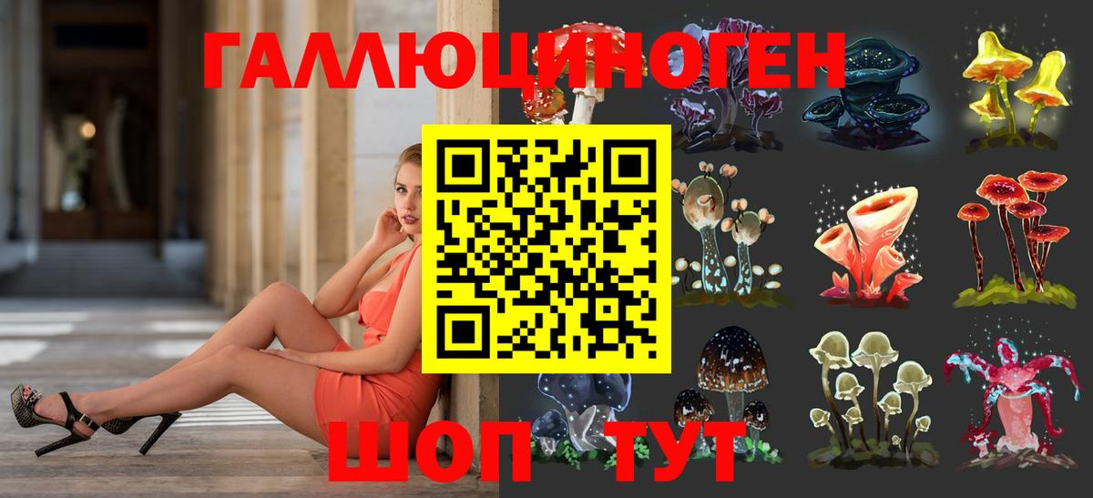 Псилоцибиновые грибы Psilocybine cubensis  Псилоцибиновые грибы мицелий  Аксай  Вход с VPN 